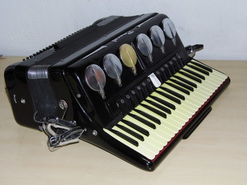 Akkordeon parrot 120 bass mit - 120,